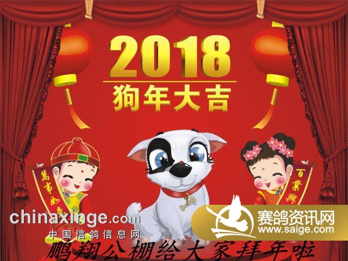 2024年天天开好彩大全,揭秘未来好运之门，2024年天天开好彩大全