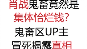 管家婆三肖三期必中一,揭秘管家婆三肖三期必中一，真相与策略