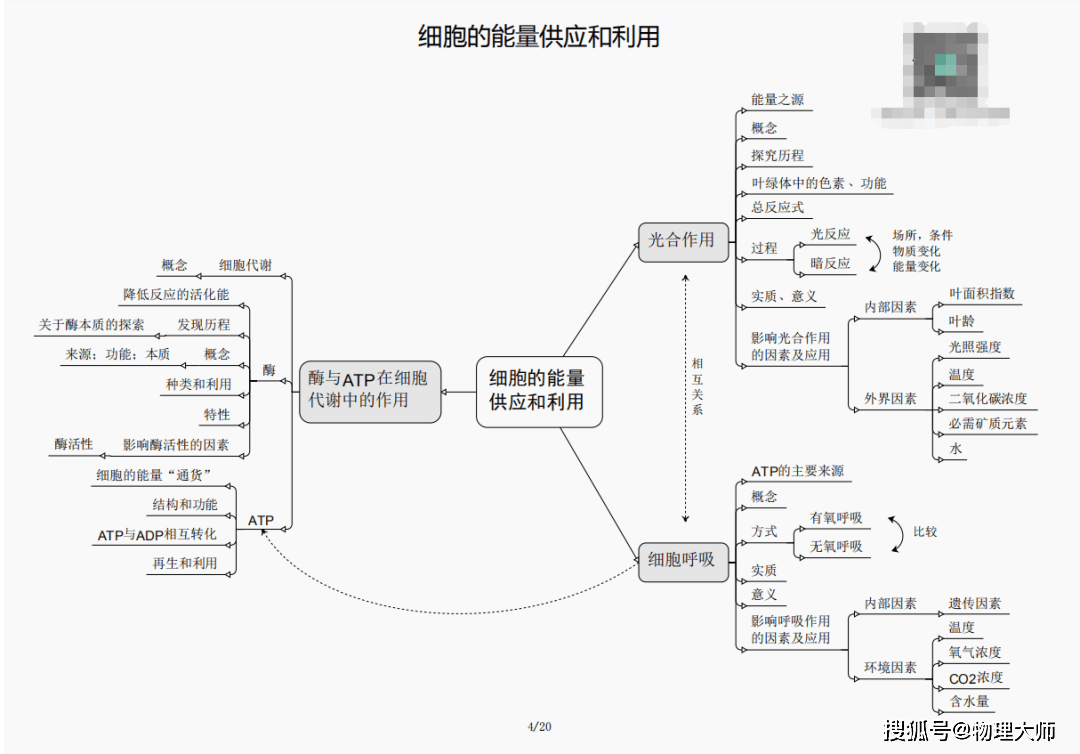 白小姐三肖三期必出一期开奖虎年,白小姐三肖三期必出一期开奖——虎年运势揭秘