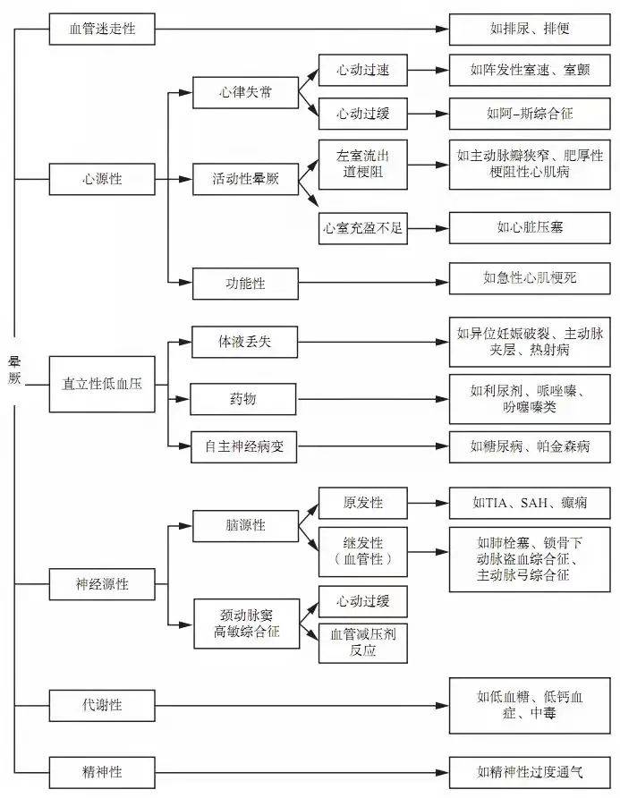 777778888王中王最新,探索数字背后的秘密，揭秘最新王中王现象与数字777778888的关联