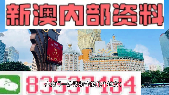 2025新澳正版免费资料的特点,探索2025新澳正版免费资料的特点