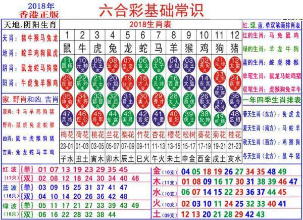 澳门正版资料大全资料生肖卡,澳门正版资料大全资料生肖卡的深度探索