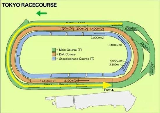 2025今晚香港开特马开什么,香港赛马赛事预测，探索未来的赛道奇迹（关键词，今晚香港开特马开什么）