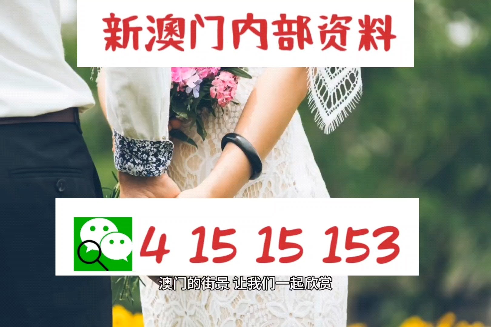 澳门最精准的资料免费公开039期 12-13-14-37-41-47Q：14,澳门最精准的资料免费公开第039期分析与解读 Q，14