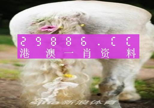 2023澳门正版全年免费资料010期 07-09-21-28-30-45H：17,澳门正版全年免费资料解析，探索2023年010期的奥秘（07-09-21-28-30-45H，17）