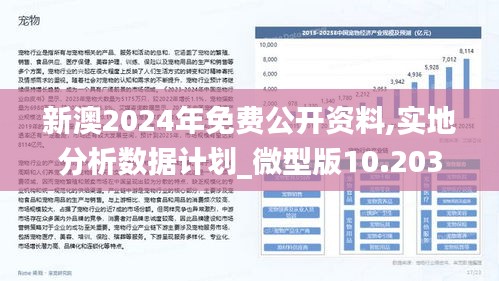 2025新澳兔费资料琴棋095期 06-19-32-45-46-48T：19,探索新澳琴棋世界，2025年免费资料琴棋第095期详解