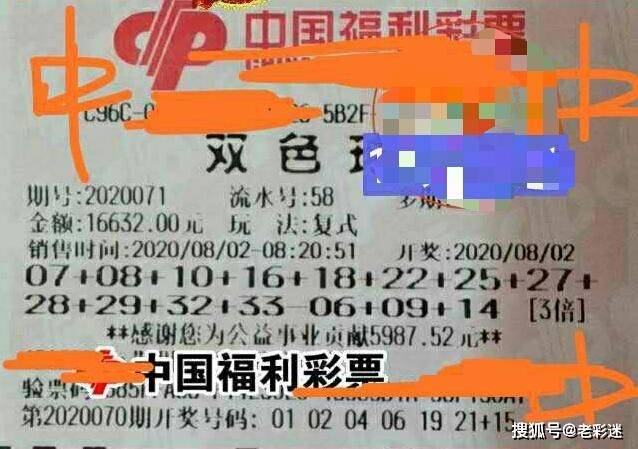 管家婆2025正版资料大全063期 02-06-11-14-32-46C：22,探索管家婆2025正版资料大全，揭秘第063期数字与策略